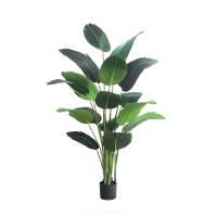 豫众诺仿真绿植 特 级款 套