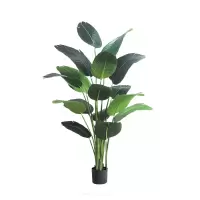豫众诺仿真绿植 特级款 套