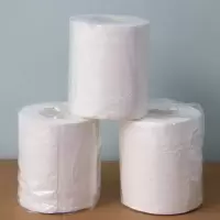 特昂优选 小卷纸 (独立包装)100g*100卷/包