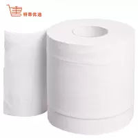 特昂优选 小卷纸空心卷纸 100g*10卷/提