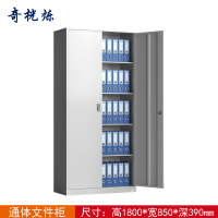 奇桄烁储存柜铁门对开台