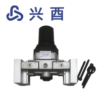 兴酉 气动电磁阀QP215-B-[D]-BJ 个