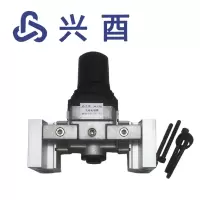 兴酉 气动电磁阀QP215-B-[D]-BJ 个