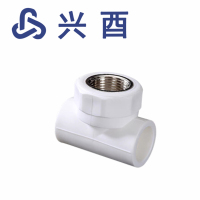 兴酉 PPR内丝三通 25*1/2 个