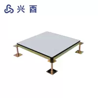 兴酉 静电地板 600*600 块