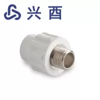 兴酉 PP-R外丝直接 40*1 个