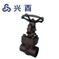 兴酉 铸钢丝扣闸阀Z11Y DN15 个