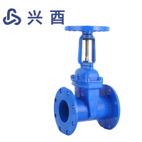 兴酉 法兰明杆闸阀 DN125 个