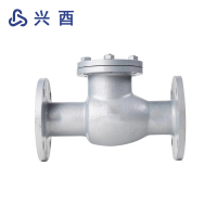 兴酉 铸钢法兰止回阀 DN250 个