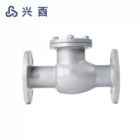 兴酉 铸钢法兰止回阀 DN350 个