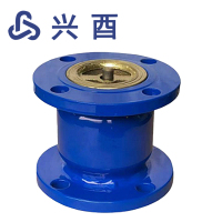 兴酉 消声止回阀HC41X-16 DN200 个