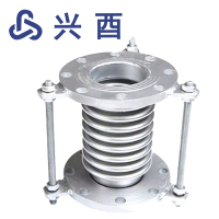 兴酉 法兰式波纹补偿器 DN125 个