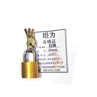 锁挂锁铁锁小挂锁单开锁 20mm 把