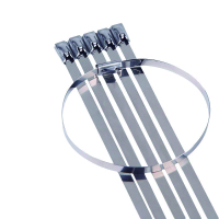 具安金 不锈钢扎带 16*550mm*100条 包