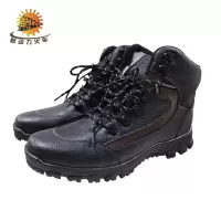 新动力火车 棉鞋 36-44 双