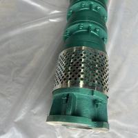 沈深 泵轴 GDLF42-20FSWSC/根