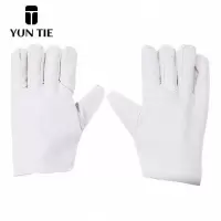 蕴铁帆布手套24线/双