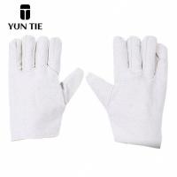 蕴铁帆布手套12线/双