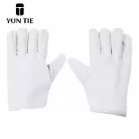 蕴铁帆布手套12线/双