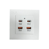 长铁 USB快充插座面板 220V 个
