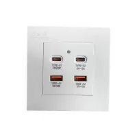 长铁 USB快充插座面板 220V 个