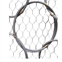 长铁 边坡防护网PPS-100/DB-A 平方米