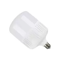 依诺九吉 LED灯泡 30W 个