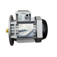 钟伯 电机 YE2 台