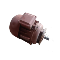 钟伯 电机 EDY21-40.8KW 台