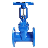 冰城同祥 软密封闸阀 DN250 台