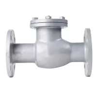 冰城同祥 铸钢止回阀 H44H-16C DN150 台