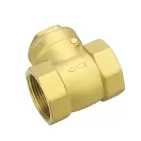冰城同祥 铜止回阀 DN32 个