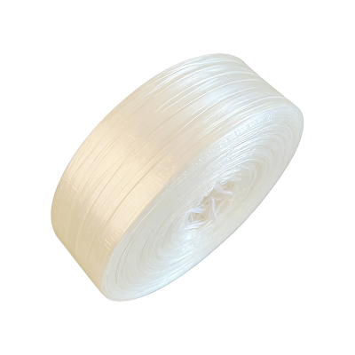 鑫睿辉 塑料丝带 厚0.15*宽20mm kg