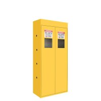 鑫睿辉 防爆气瓶柜 双瓶无报警90*45*190cm 台