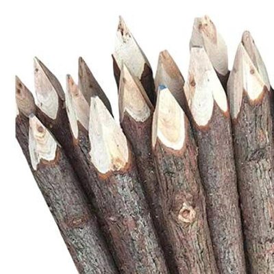 鑫睿辉 防洪木桩 80*2000mm 根