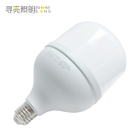 寻亮照明 灯泡 30w 个