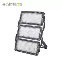寻亮照明 投光灯 LED模组 XLZM-MZ99 300W 个