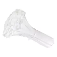 卓鑫蒂隆尼龙扎带4*250mm包