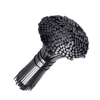 卓鑫蒂隆尼龙扎带4*250mm根