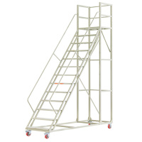 卓鑫蒂隆登高梯12踏板个