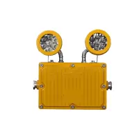 防爆应急灯 XD-360 个