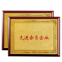 振之宏 奖牌 50*35 奖牌丝网 块