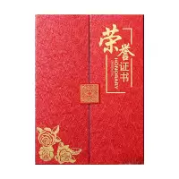 振之宏 证书 8开 个