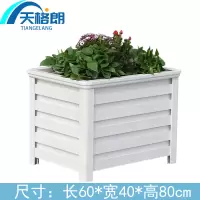 天格朗 花箱 80cm个