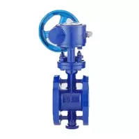 中育博兴 蝶 阀