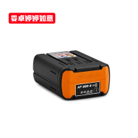 娄卓婷婷如意 充电电池锂电池电池包 AP300S(适配斯蒂尔吹风机吹雪机高枝锯锂电伐木锯绿篱机草坪机) 个
