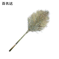 百名迖 大扫帚 大号 把