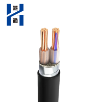 燕通 YJV22两芯铠装电源线 0.6/1KV-YJV22-2*4平方/米