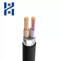 燕通 YJV22两芯铠装电源线 0.6/1KV-YJV22-2*35平方/米