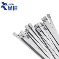 堇柏 不锈钢扎带 4.6*100mm 根